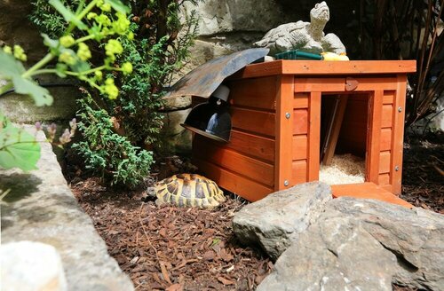 Внешний вид отеля Lauderville Guest House в Эдинбурге, фото 4