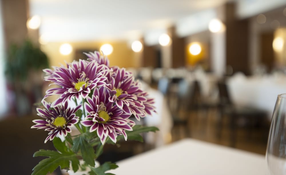 Фото Hotel Calissano