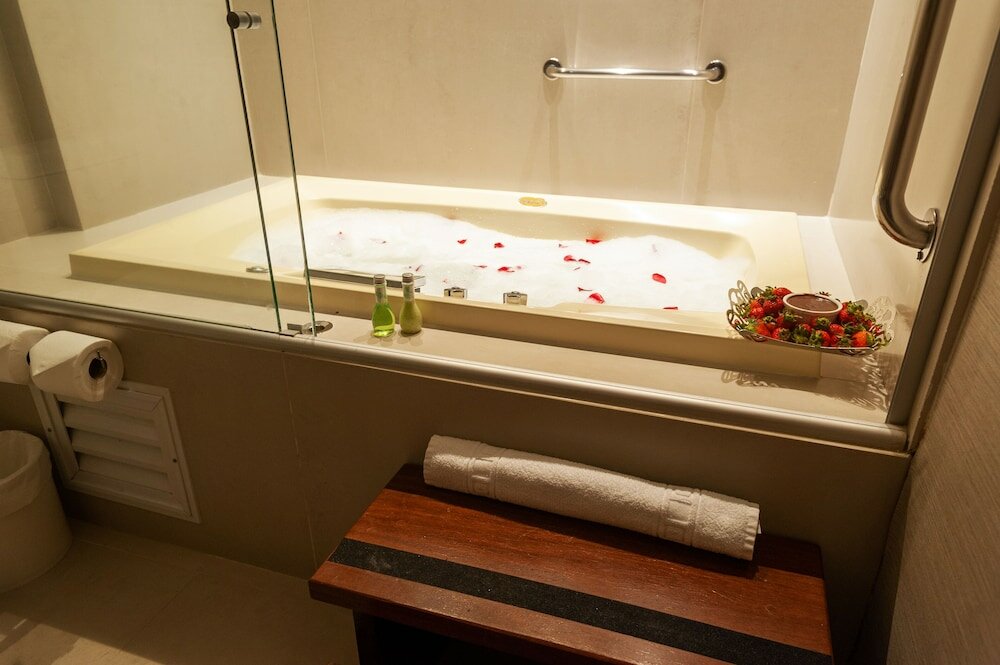 Фото Radisson Hotel Anapolis