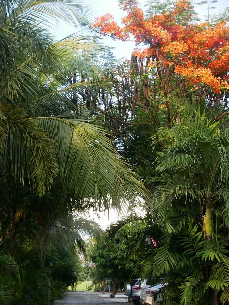 Фото Baan Suan Palm Resort