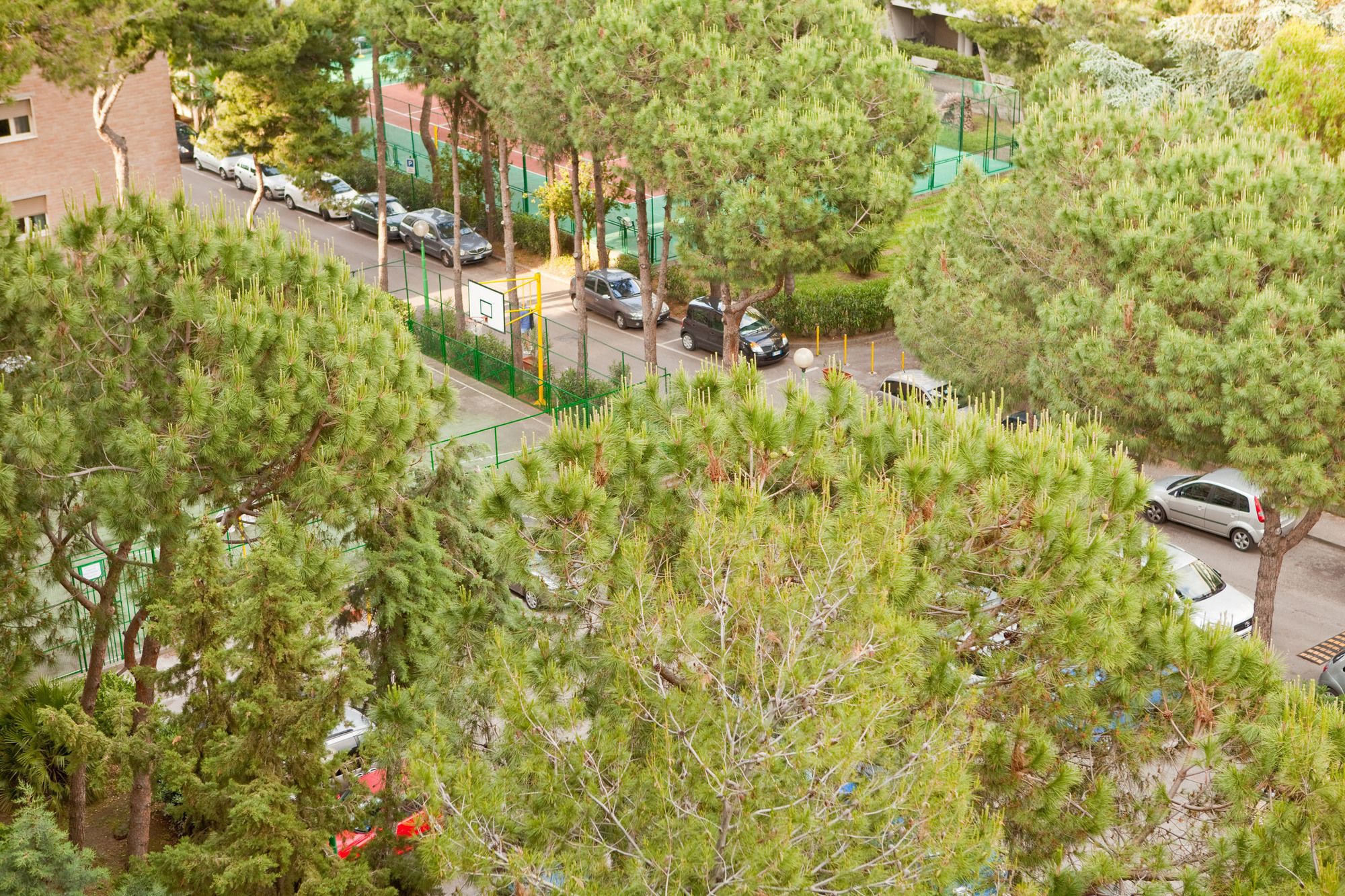 Фото Rooms Rent Vesuvio B&b