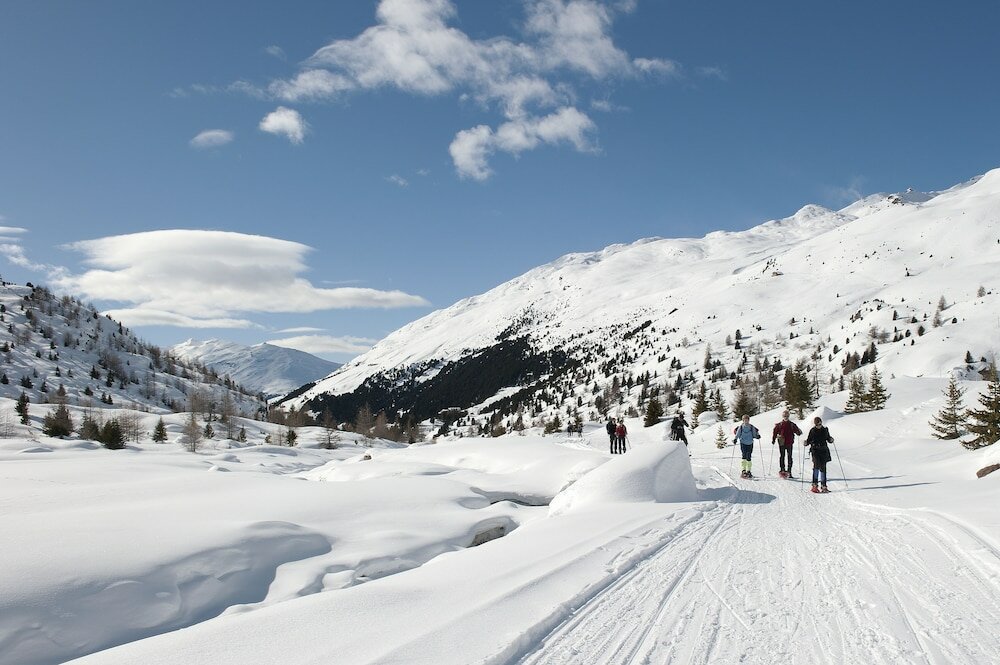 Фото Hotel Vedig