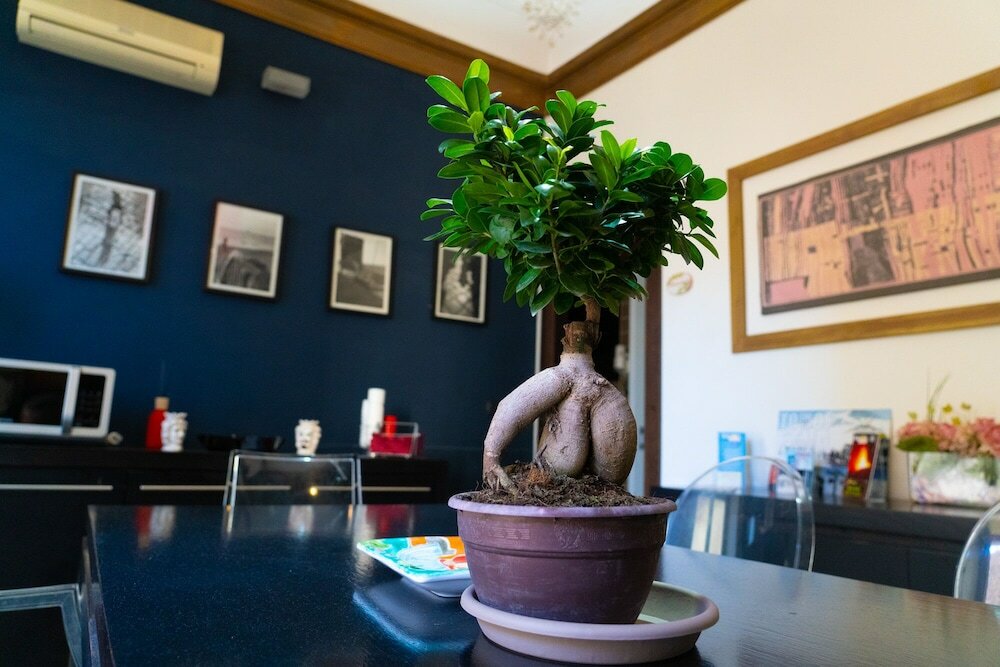 Фото Bed and Breakfast Opera