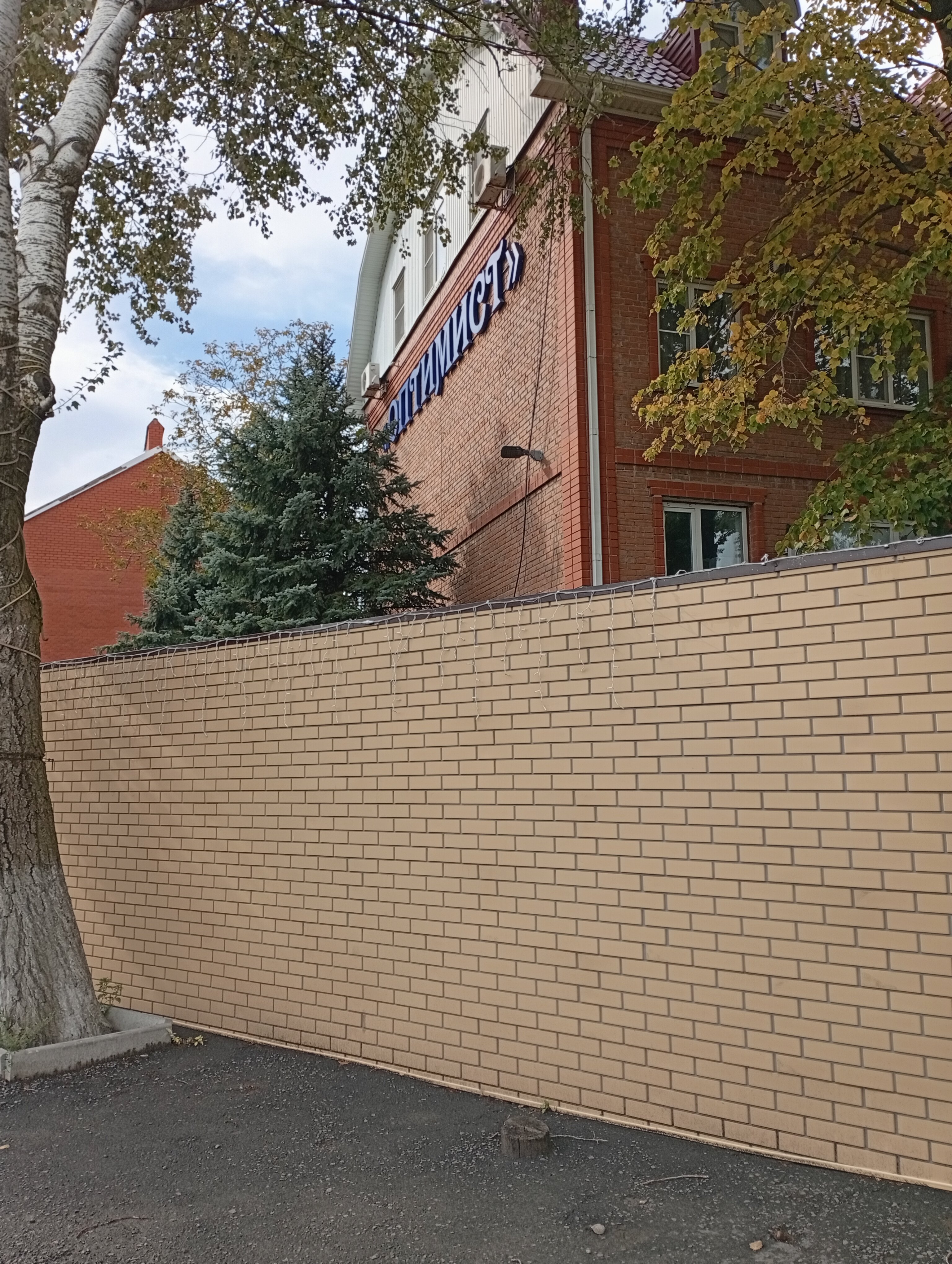 Фото Оптимист