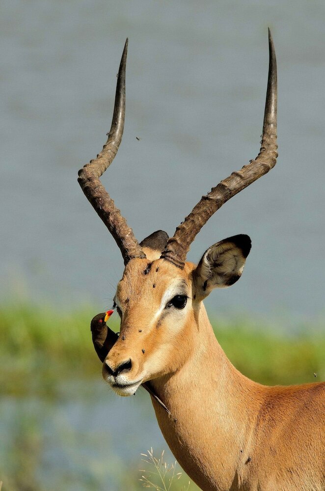 Фото The Old House