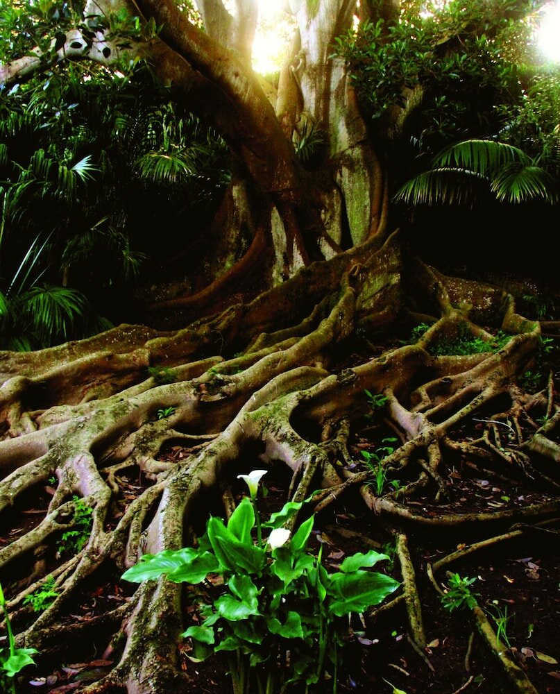 Фото Casa Do Jardim