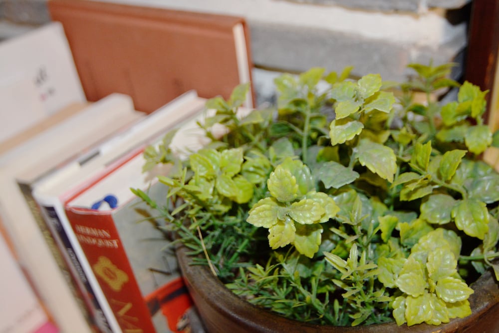 Фото Insadong Hostel