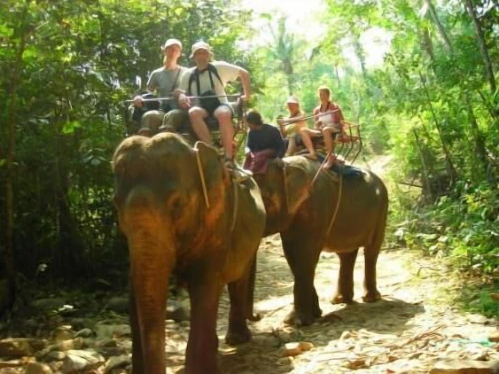 Фото отеля 5