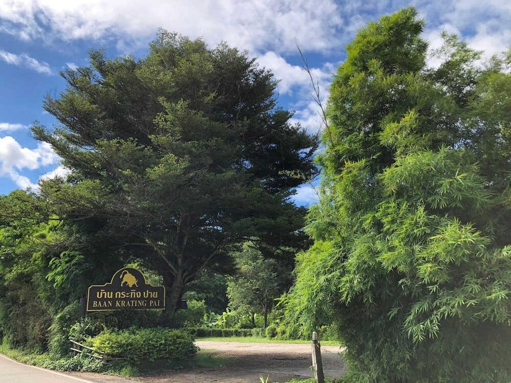 Фото 32994703636