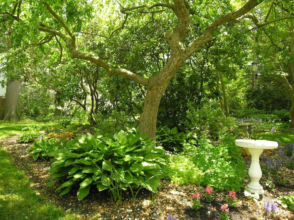 Фото Delano Homestead Bed & Breakfast