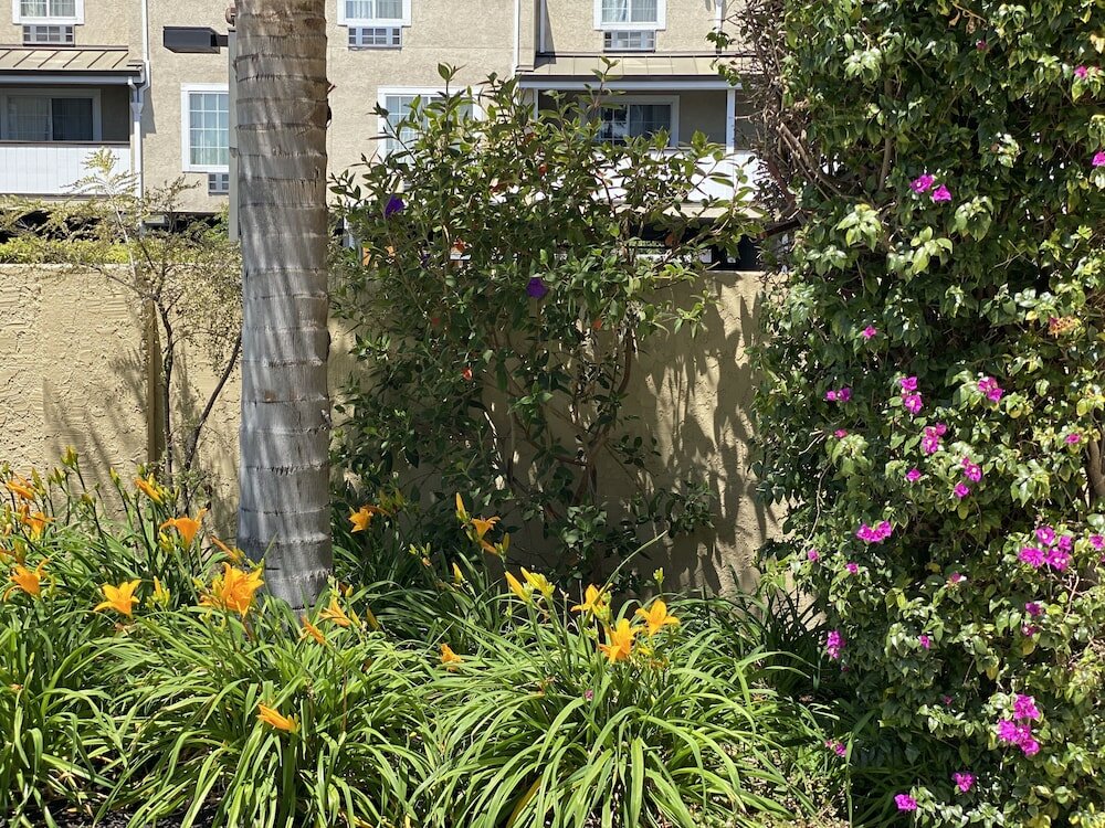 Фото Holiday Inn Express Redwood City-Central, an Ihg Hotel