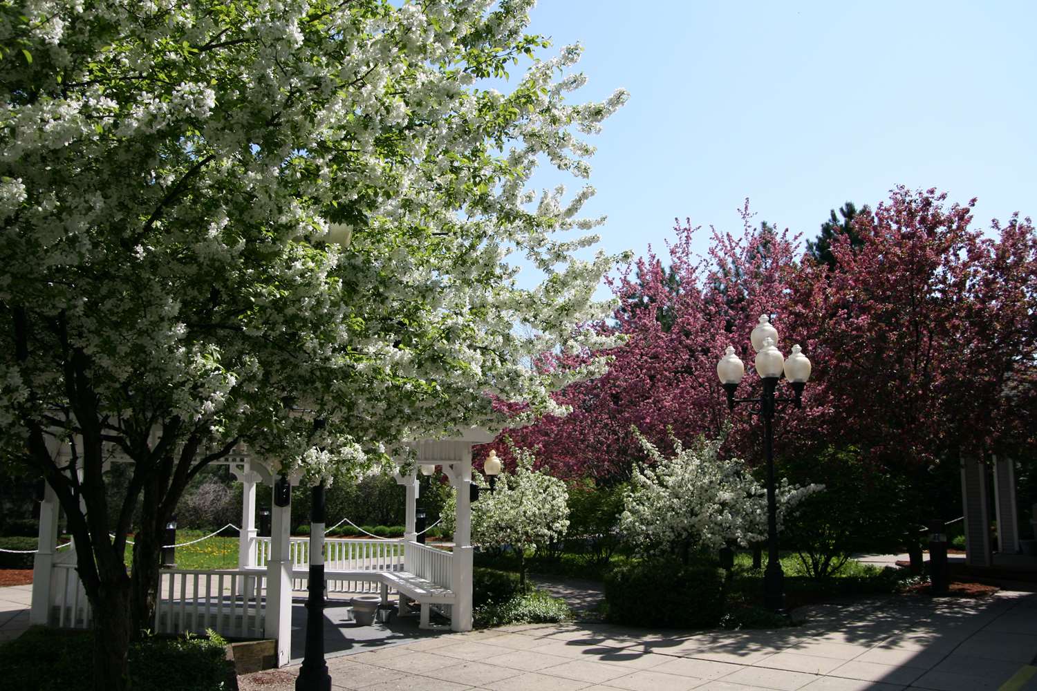 Фото Hampton Inn Colchester