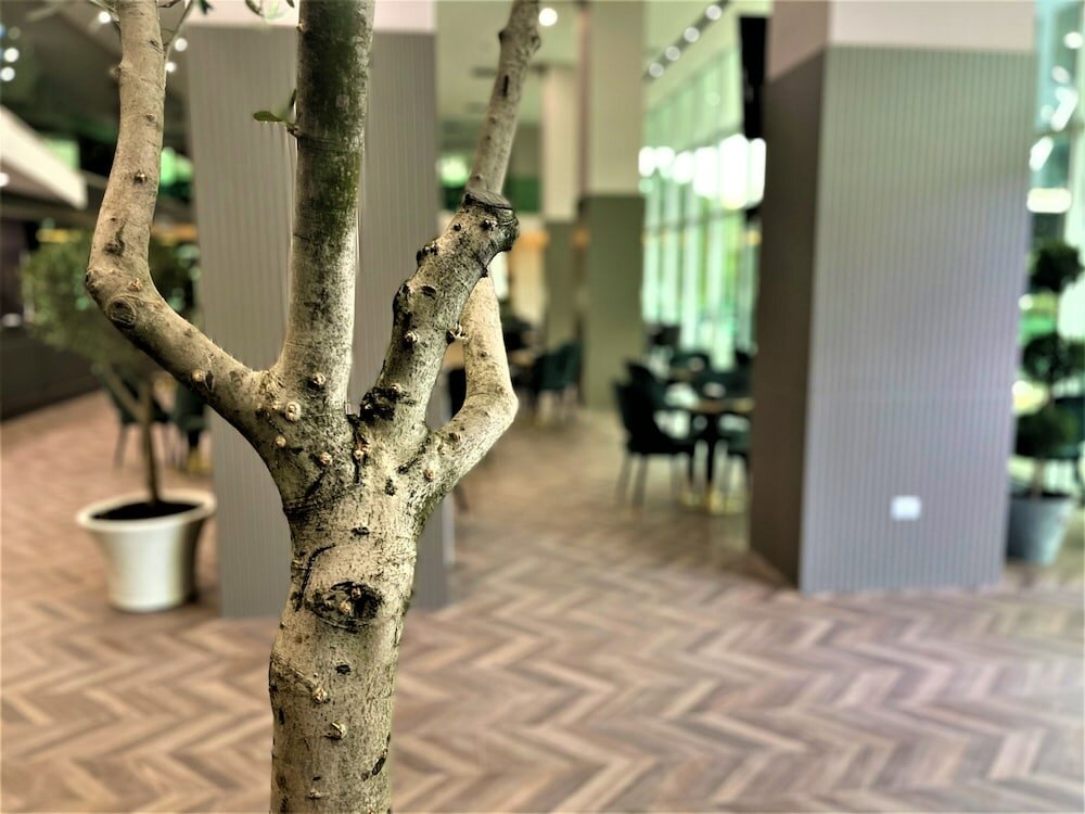 Фото Vh Eurostar Tirana Hotel Congress & Venere SPA