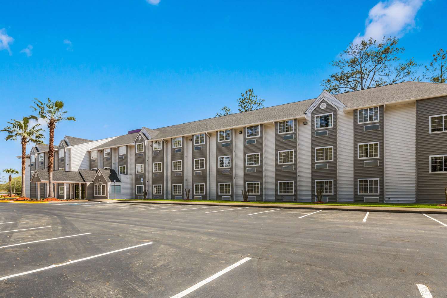 Фото Sleep Inn & Suites Tallahassee-Capitol