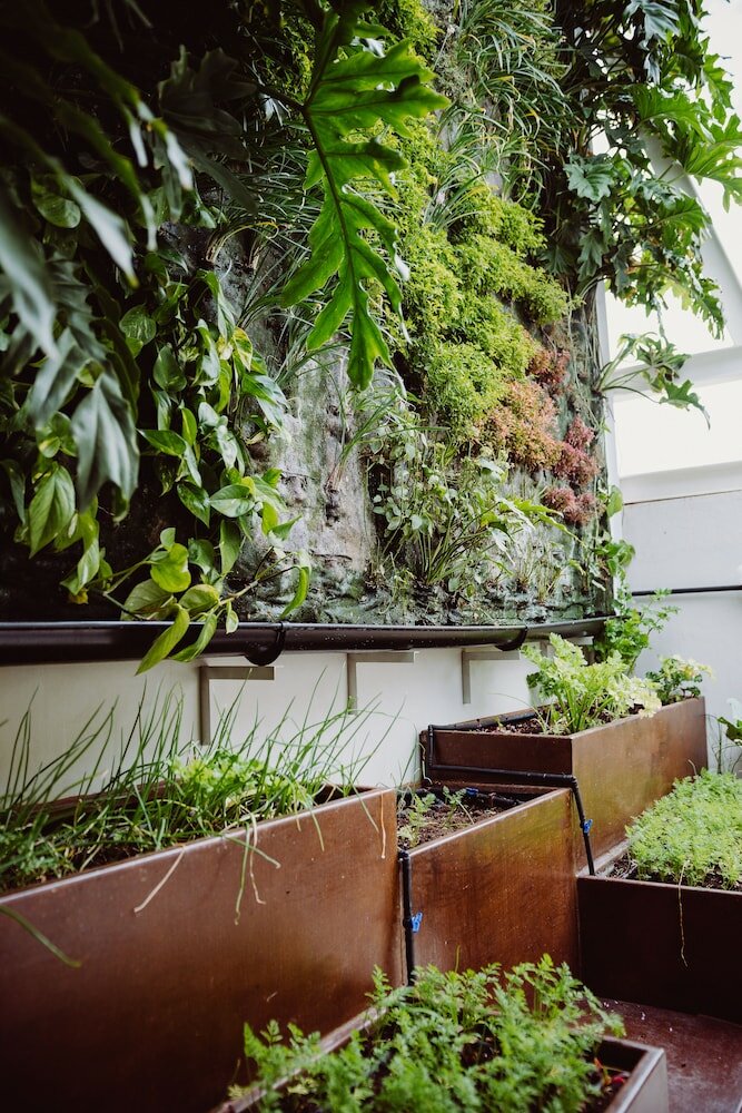 Фото Hotel Catalina Plaza