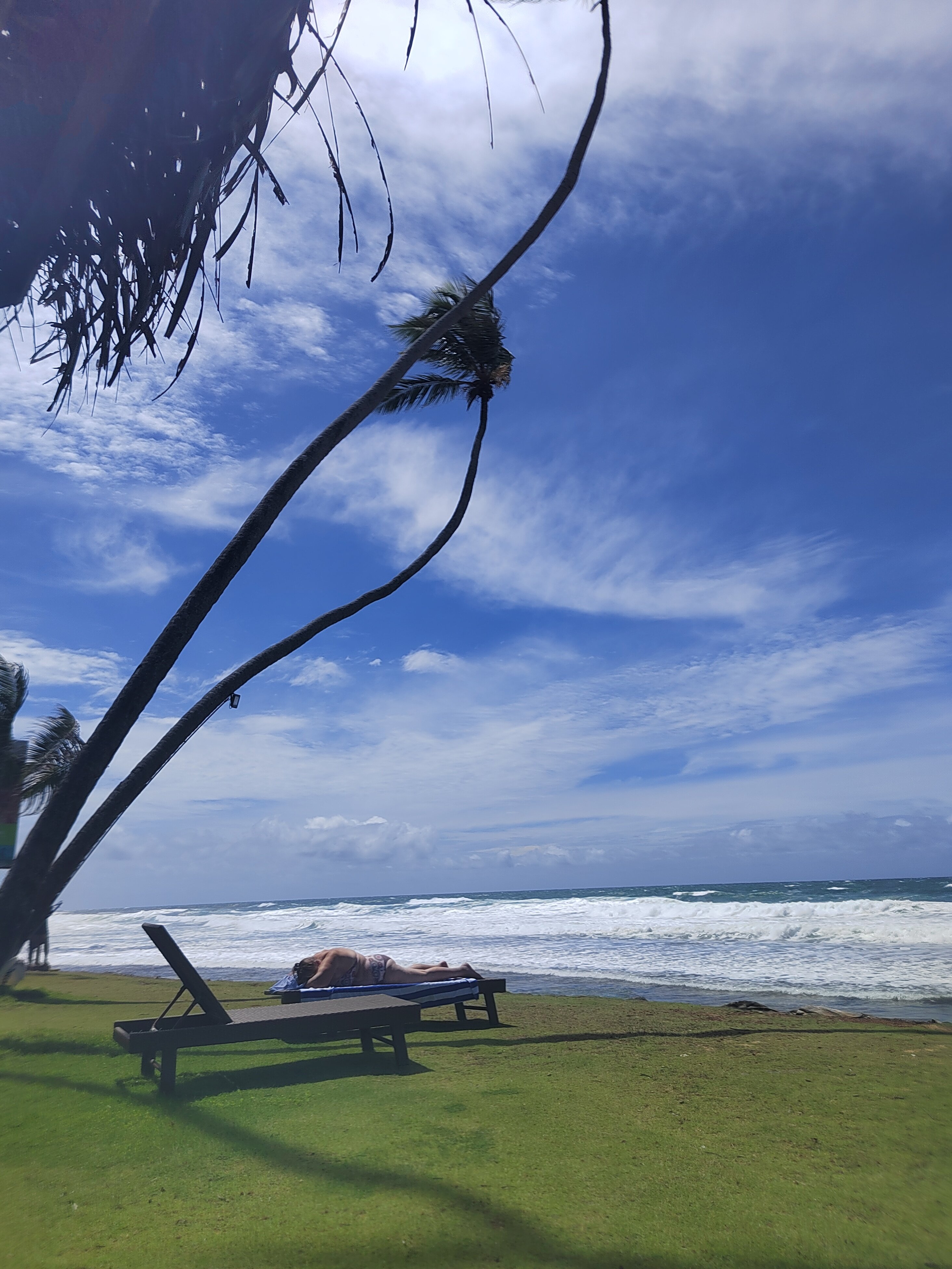 Фото Citrus Hikkaduwa