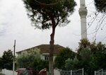 Central Rekmez Mosque (Aydın, Sultanhisar, Rekmez Mah., Rekmez Dereiçi Sok., 1), mezquita