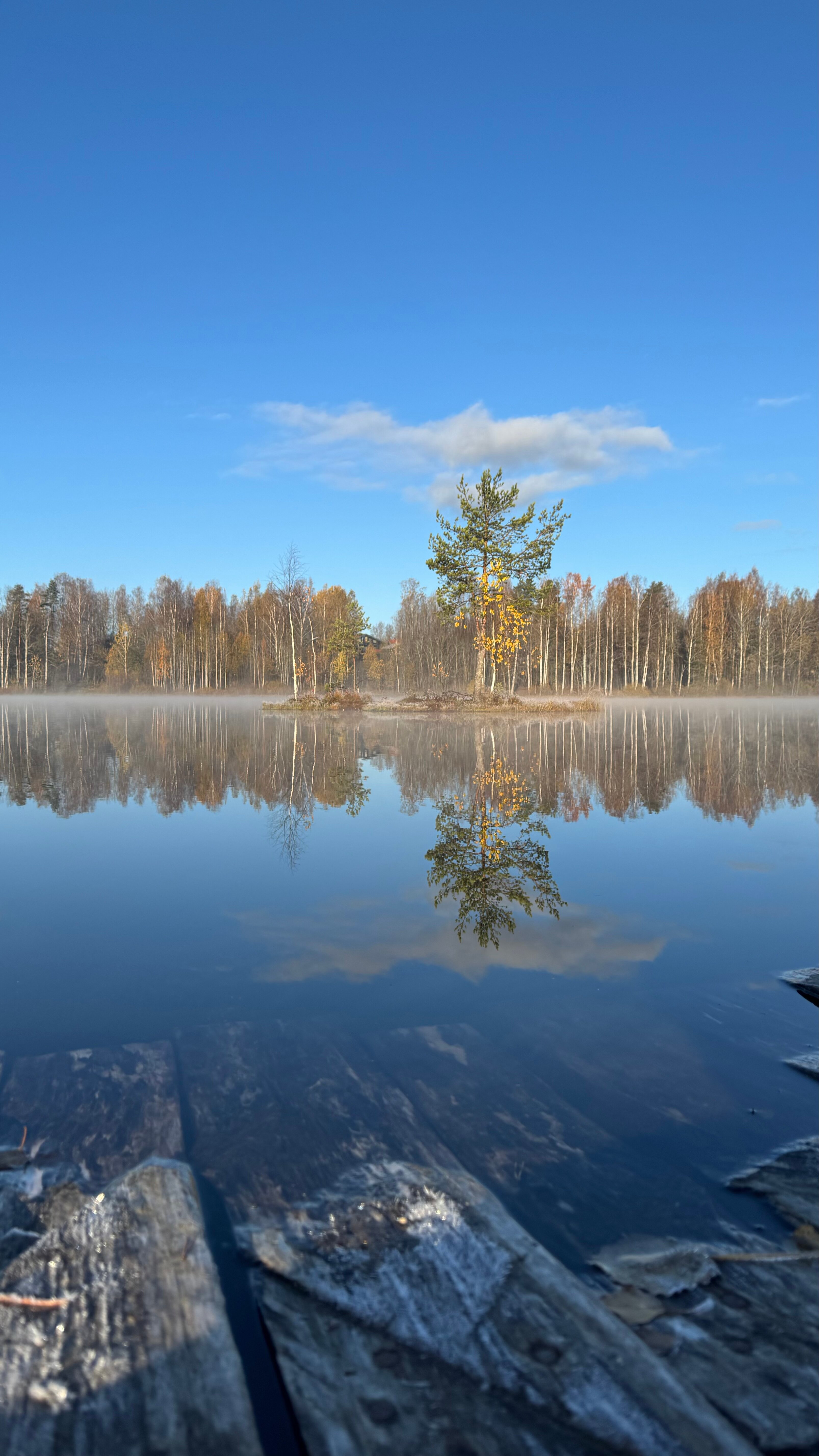 Фото Дом отдыха Зеркальный