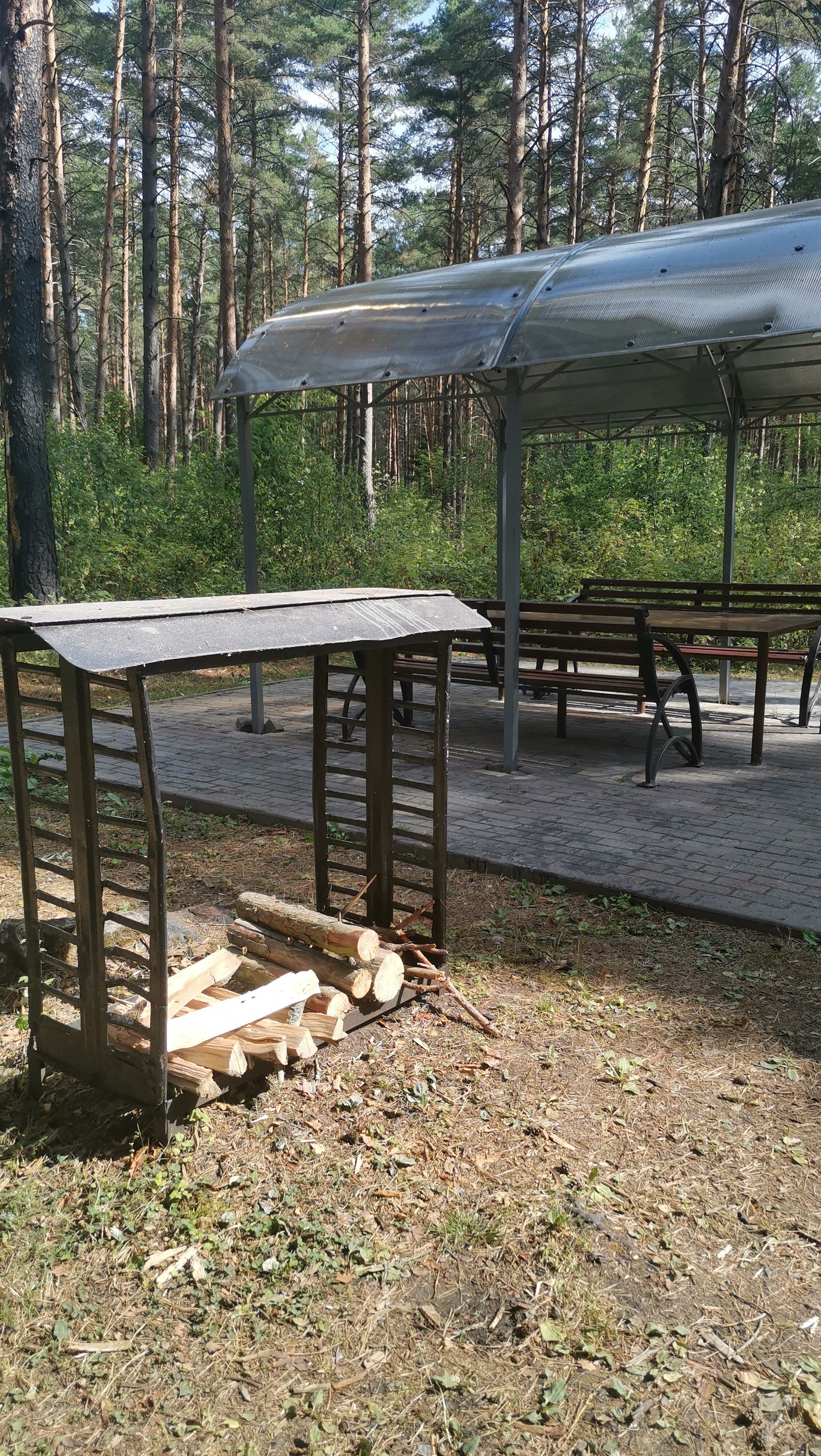 Фото Журавушка