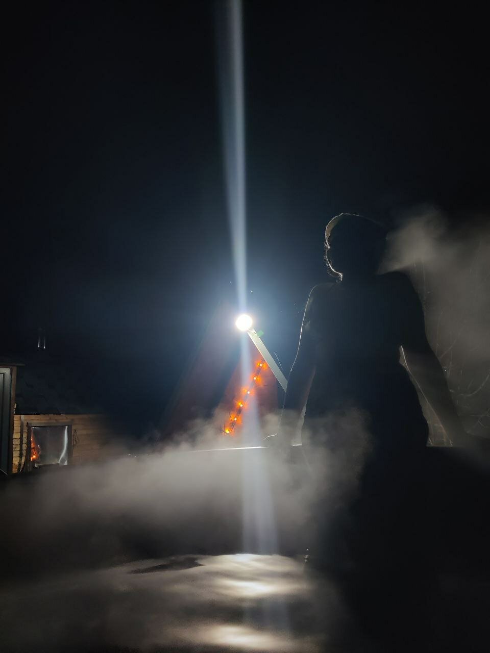 Фото Forest chan