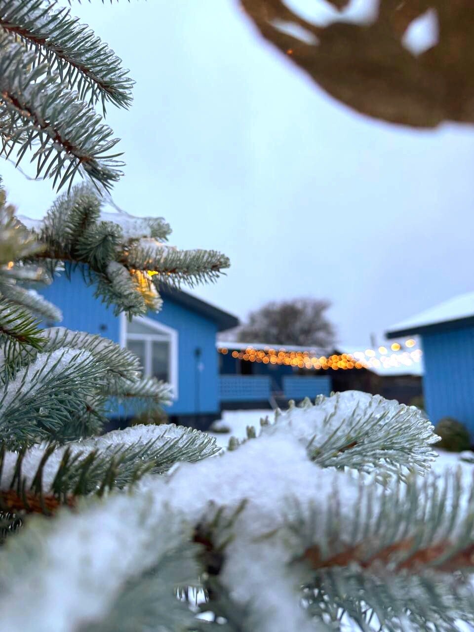 Фото Дачная 12