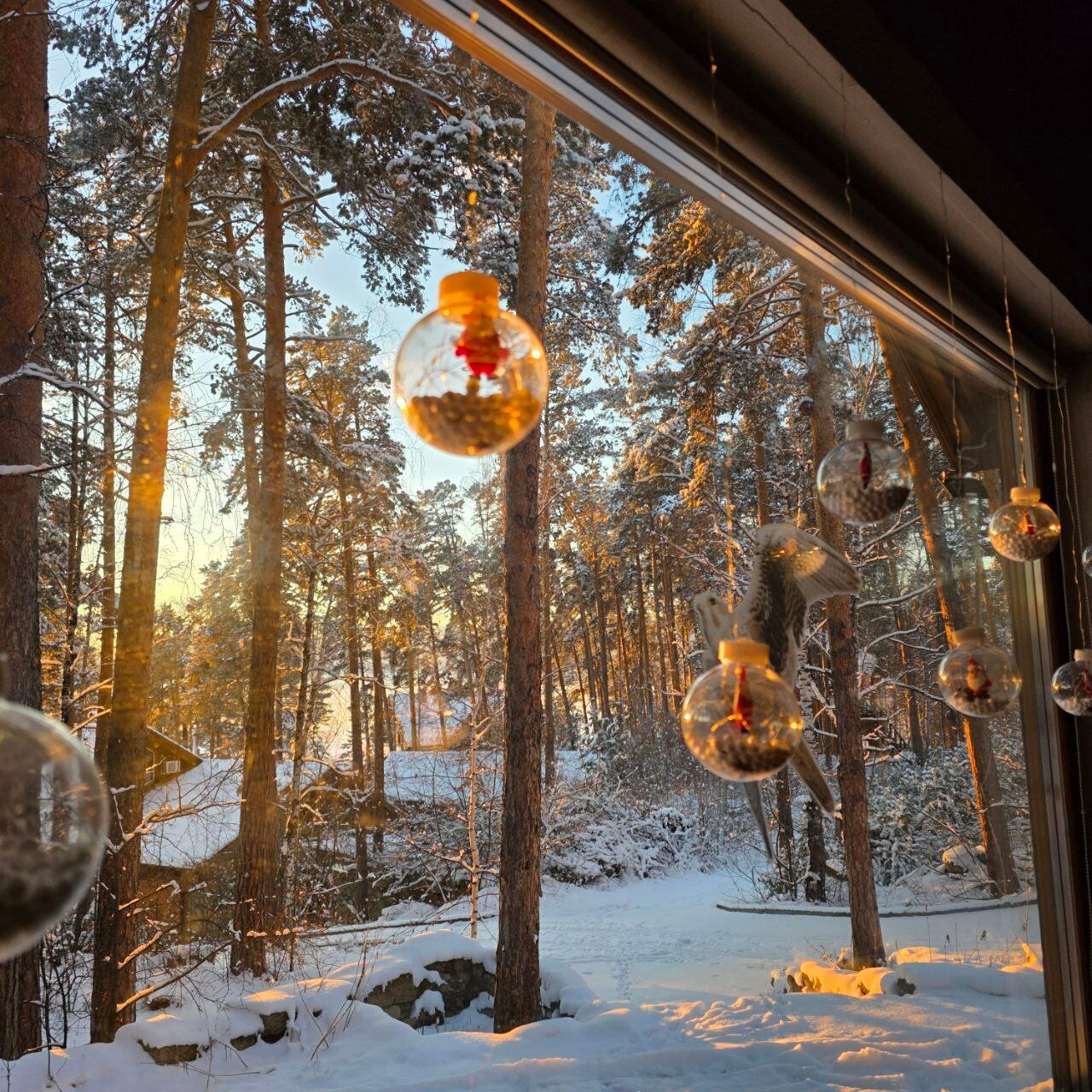 Фото Шале Тургояк