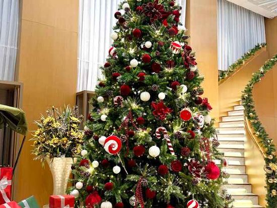 Фото Phuc Long Luxury Danang