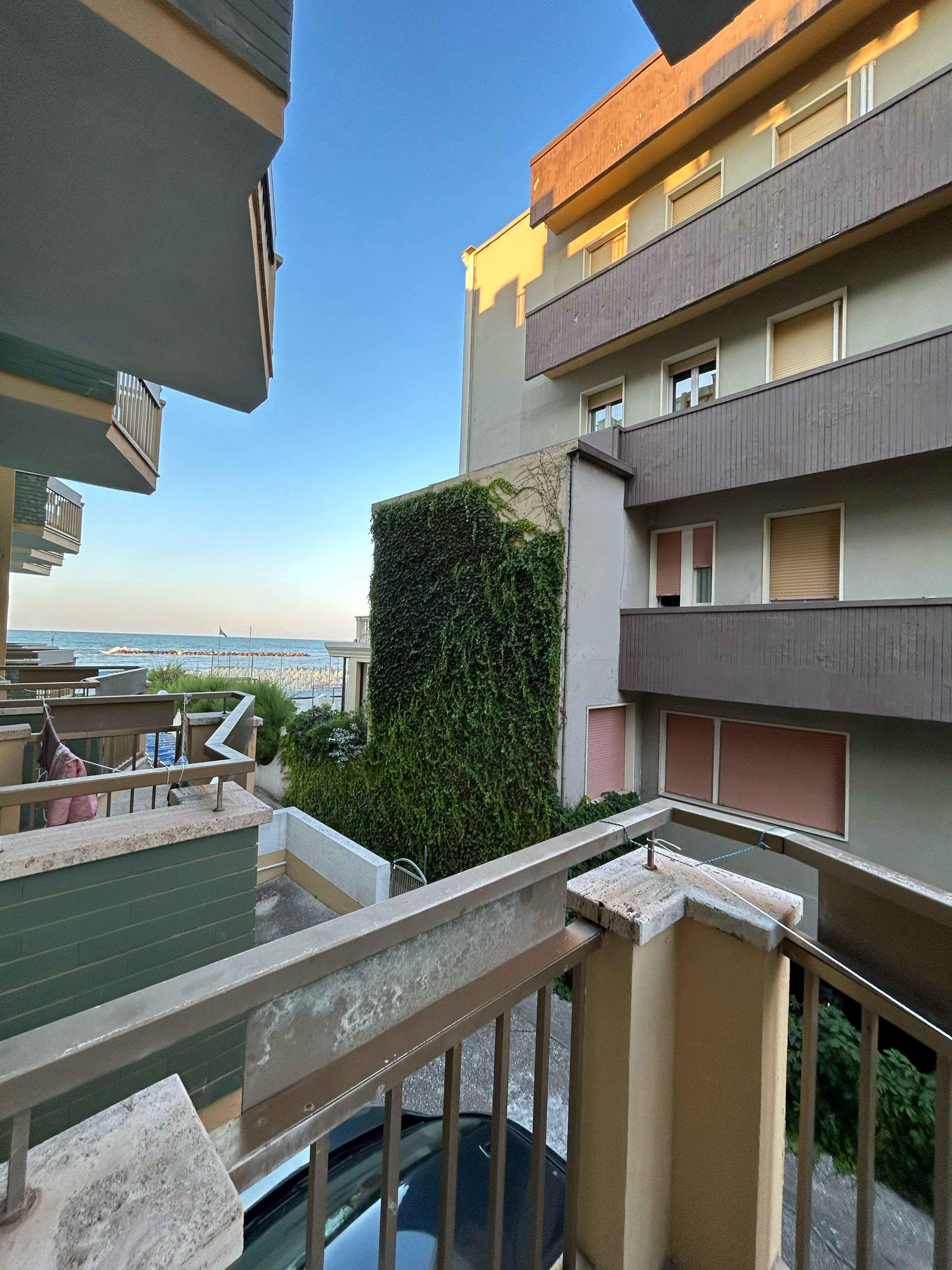 Фото Leonardo Da Vinci