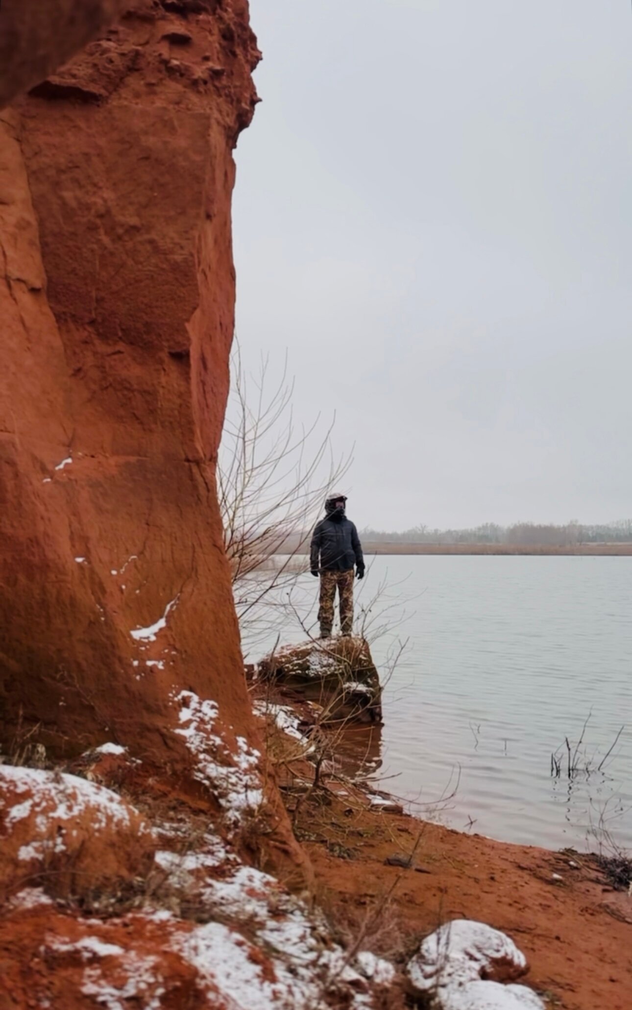 Фото Лаванда