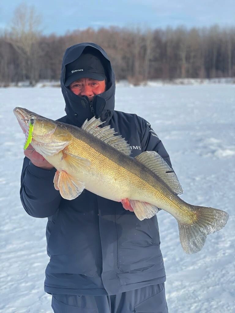 Фото Разнежье