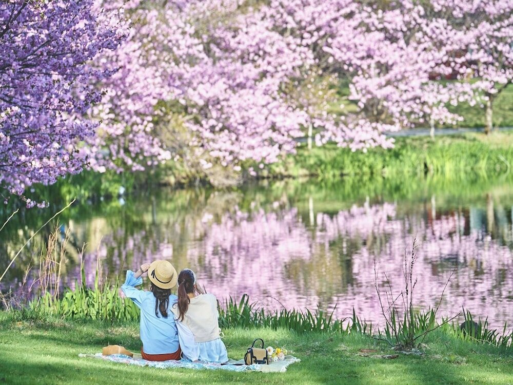 Фото Karuizawa Prince Hotel West