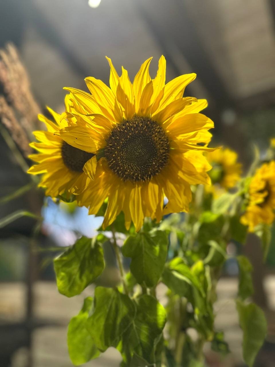 Фото Два холма