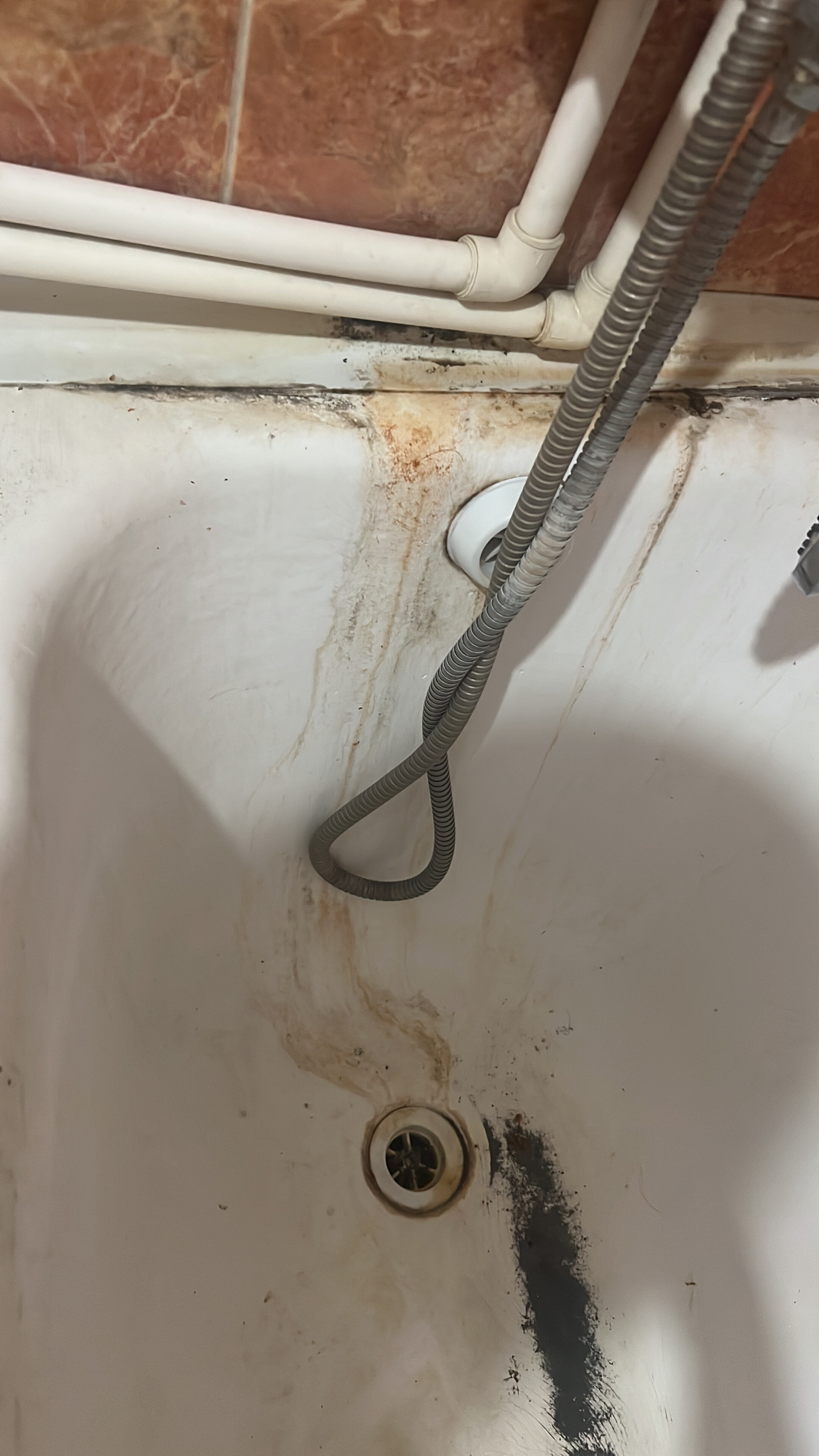 Фото Глория