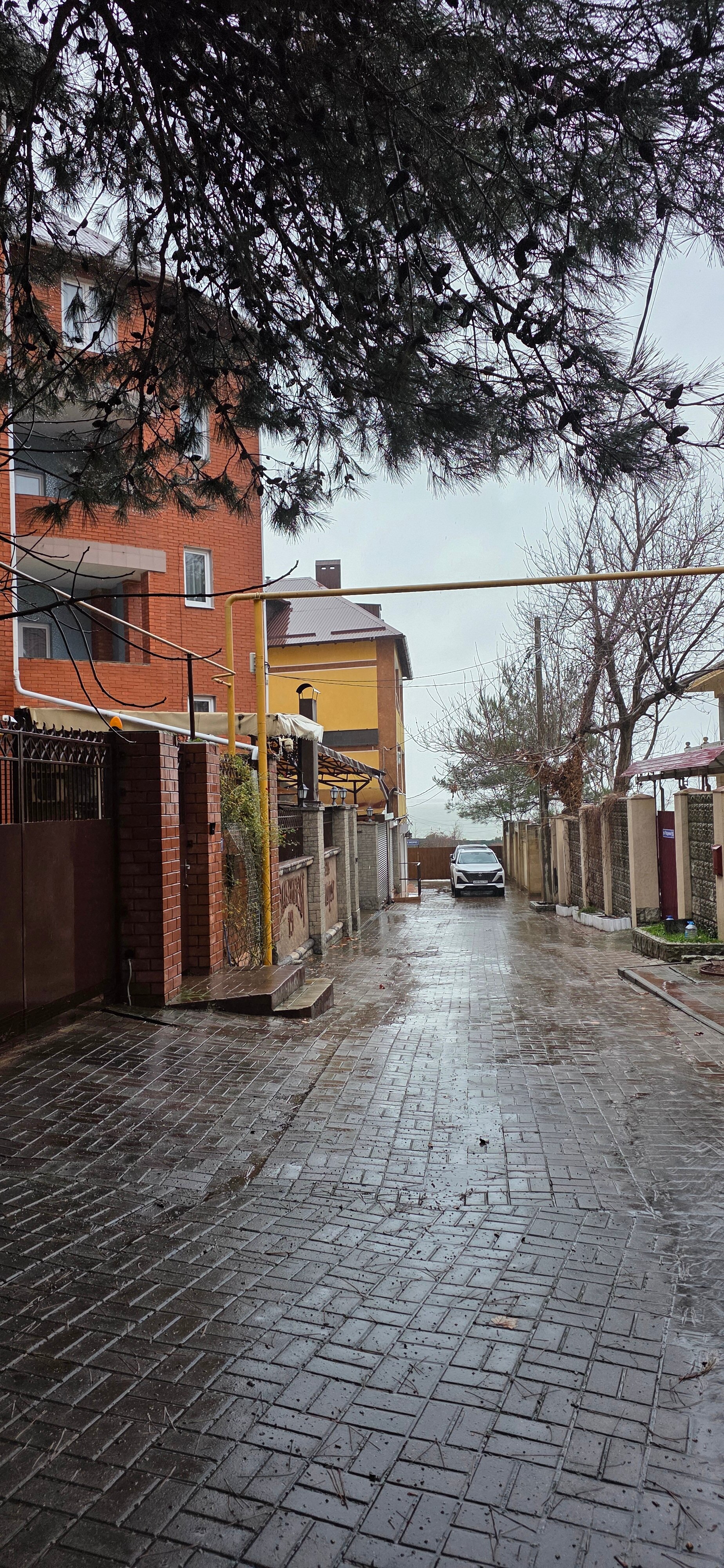 Фото У моря