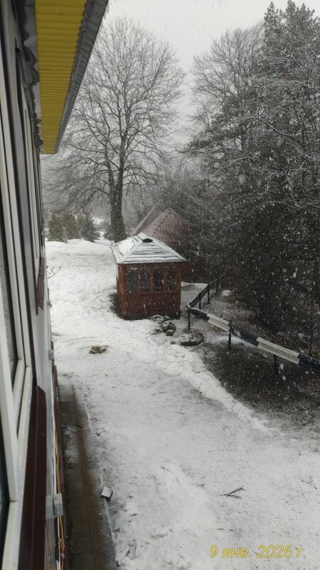 Мыхал Мыхалыч