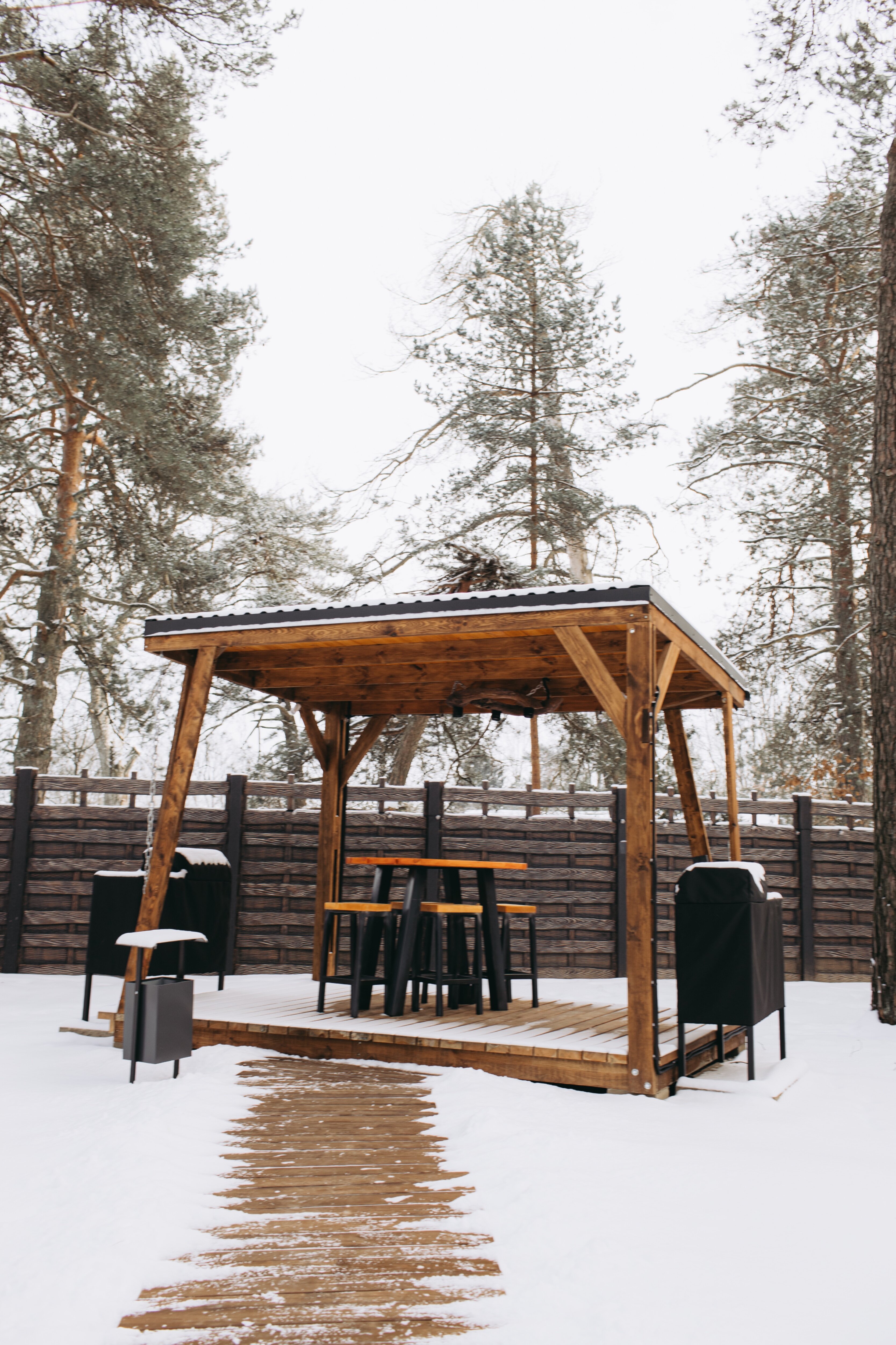 Фото Дикий гусь