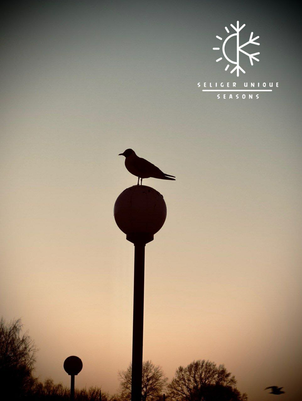 Фото Seliger Unique Seasons