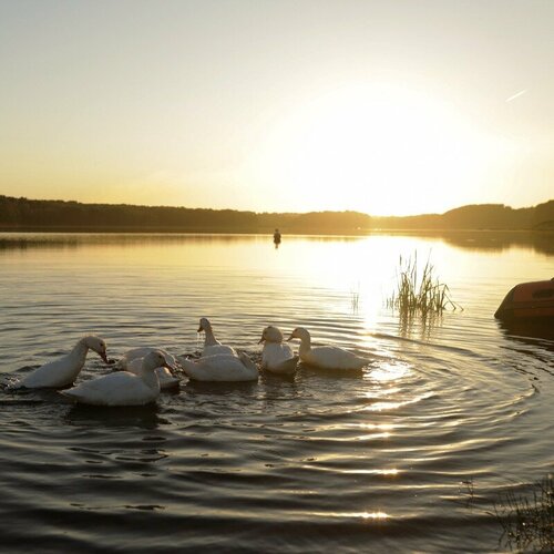 Гостиница Медвежья Гора во Владимирской области
