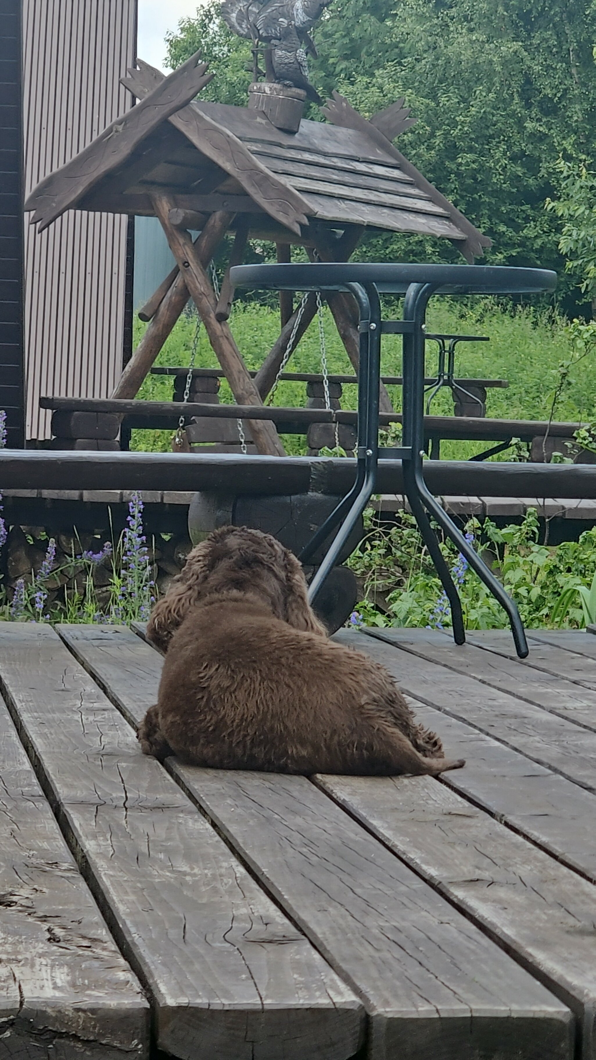 Фото Дом у пруда