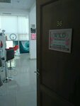 Wild (Tsentralniy Microdistrict, Gorkogo Street, 33А), training of masters for beauty salons