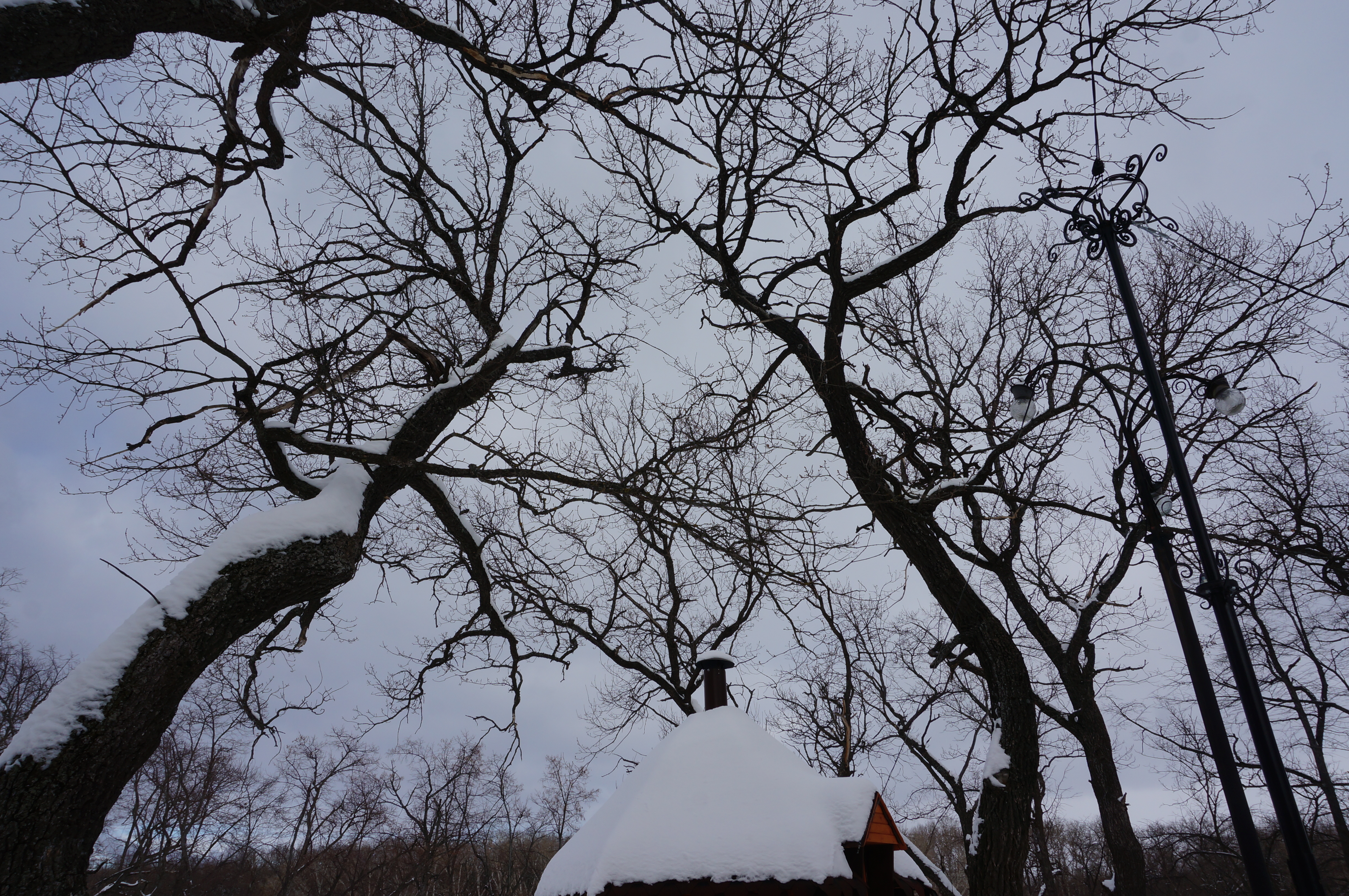 Фото Черкасский затон