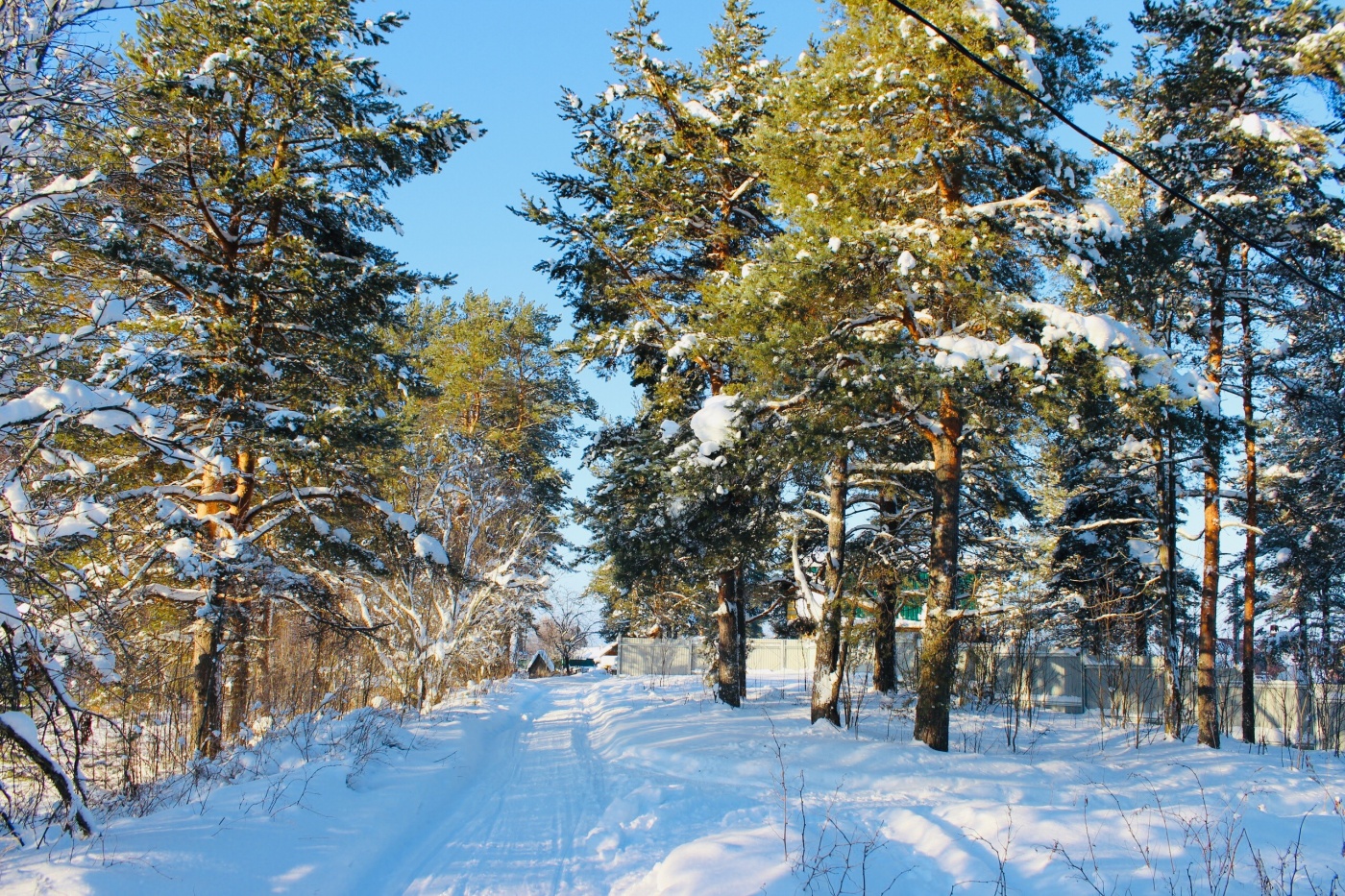 Фото Онежская Горка