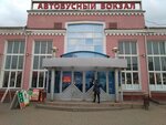Bus Tickets (Bryansk, ulitsa Peresveta, 1А), billetes de autobús