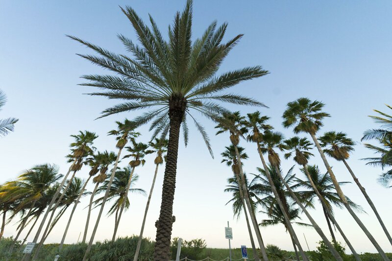 Гостиница The Broadmoor Miami Beach в Майами-Бич