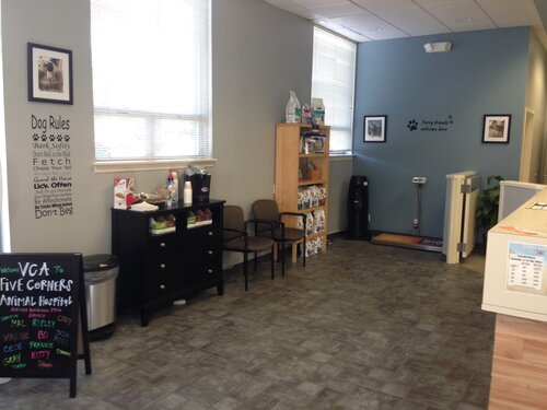 Five corners on sale veterinary hospital