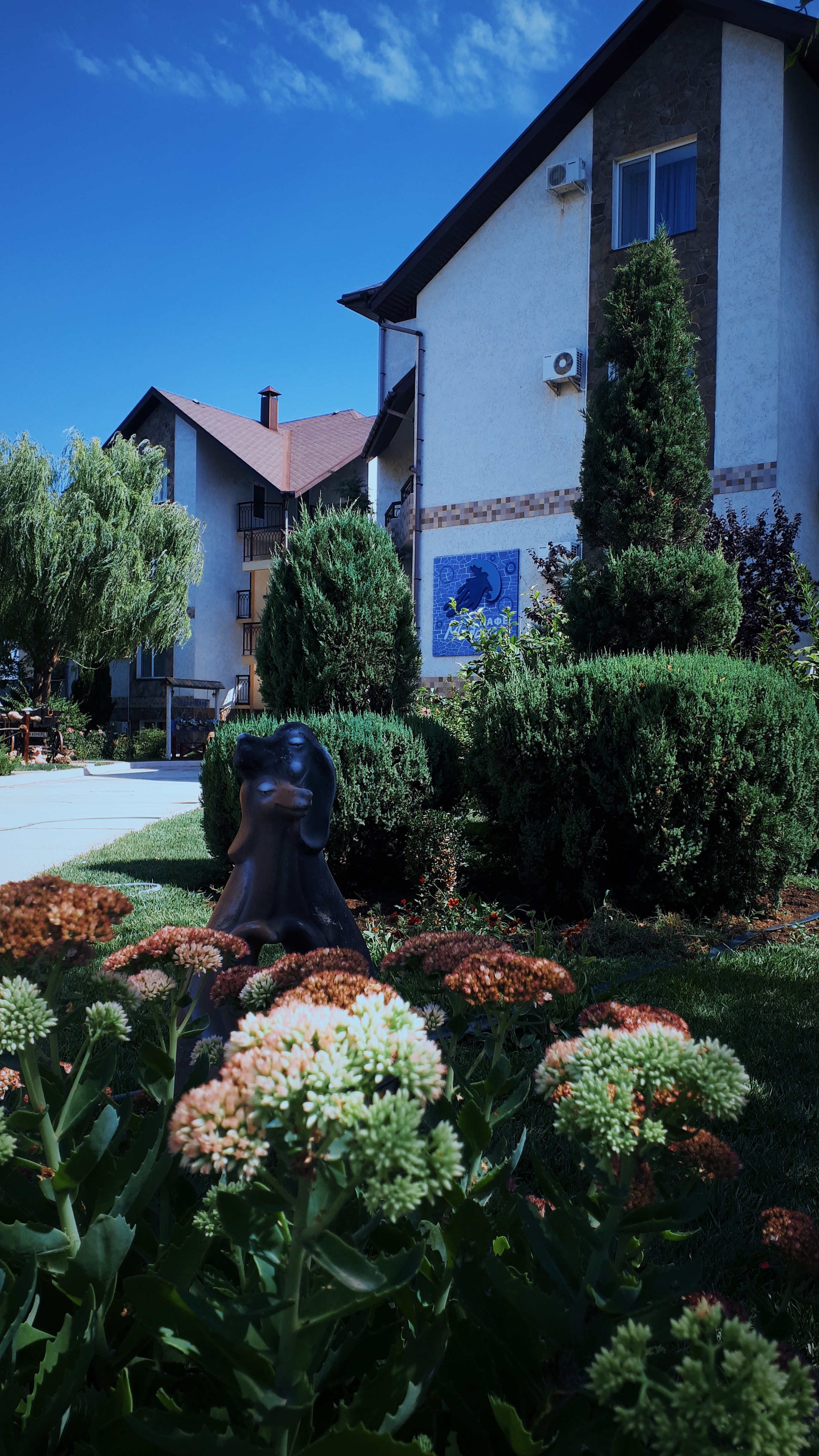 Фото Лига-Клуб