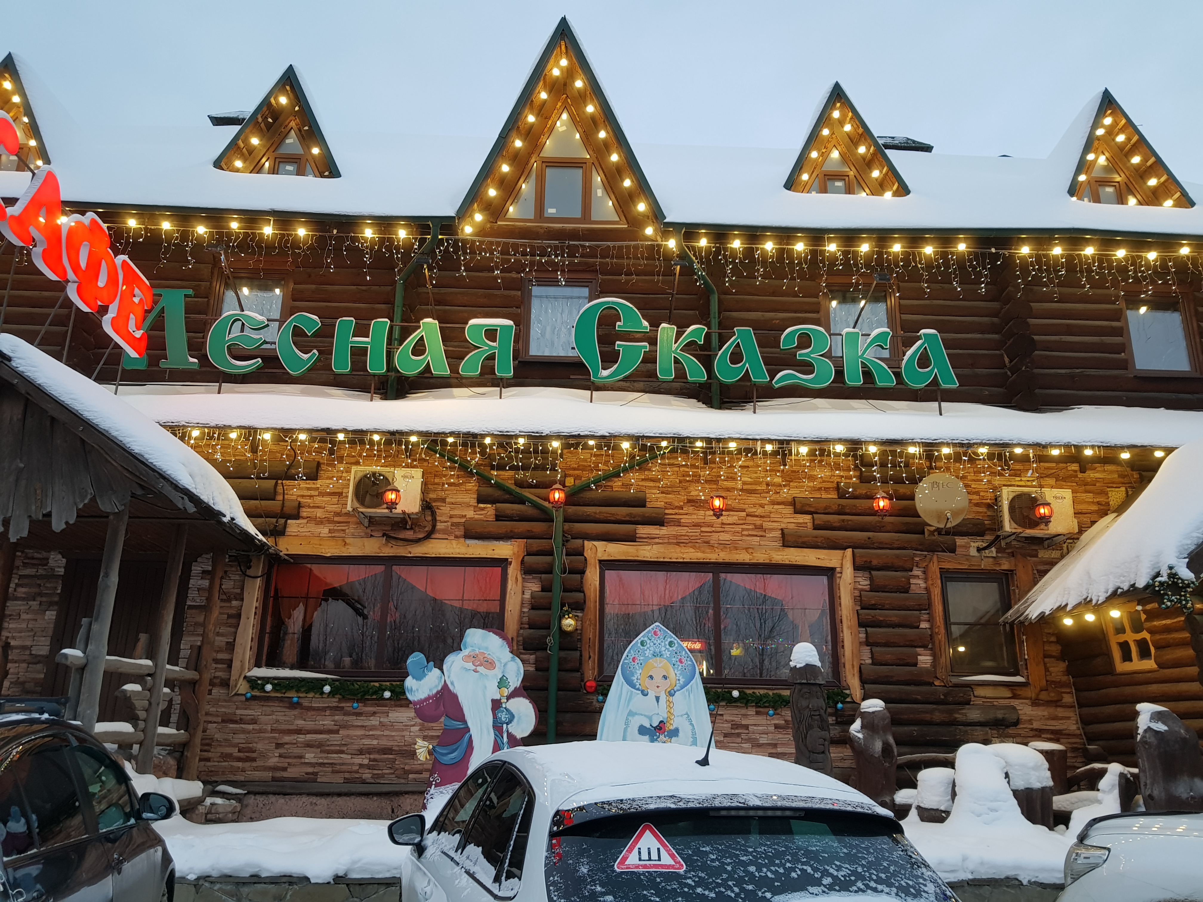 Фото Лесная сказка