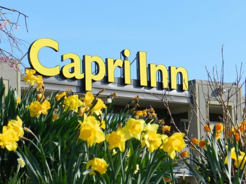 Гостиница Capri Inn в Сент-Катаринс