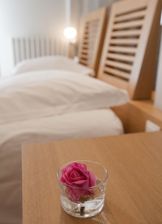 Фото Hotel De La Vallee