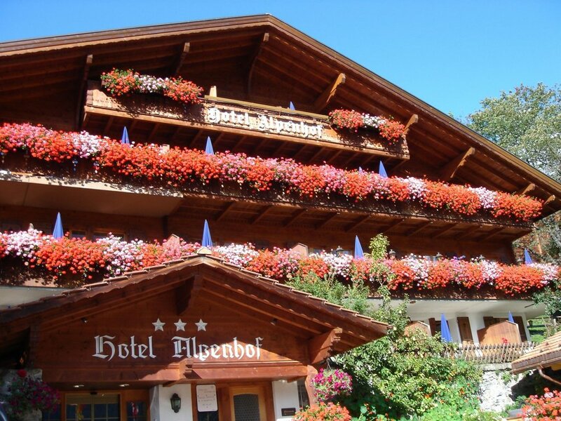 Гостиница Hotel Alpenhof в Гриндельвальде
